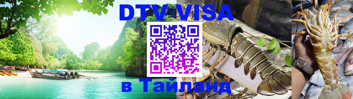 Оформление DTV визы под ключ: стоимость и тарифы, только загранпаспорт - Иерусалим  06.12.2025 